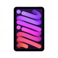 iPad mini Wi-Fi 64GB - Purple_1