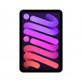 iPad mini Wi-Fi + Cellular 256GB - Purple_1