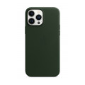 iPhone 13 Pro Max Leather Case with MagSafe - Sequoia Green_1