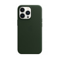iPhone 13 Pro Leather Case with MagSafe - Sequoia Green_1