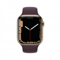 Apple Watch Series 7 GPS + Cellular, 45mm Gold Stainless Steel Case with Dark Cherry Sport Band - Regular_2