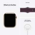 Apple Watch Series 7 GPS + Cellular, 45mm Gold Stainless Steel Case with Dark Cherry Sport Band - Regular_9