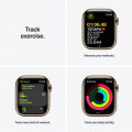 Apple Watch Series 7 GPS + Cellular, 41mm Gold Stainless Steel Case with Gold Milanese Loop_6