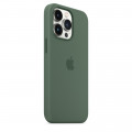 iPhone 13 Pro Silicone Case with MagSafe – Eucalyptus_6
