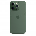 iPhone 13 Pro Silicone Case with MagSafe – Eucalyptus_5