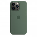 iPhone 13 Pro Silicone Case with MagSafe – Eucalyptus_1