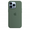 iPhone 13 Pro Silicone Case with MagSafe – Eucalyptus_4