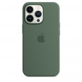 iPhone 13 Pro Silicone Case with MagSafe – Eucalyptus_2