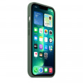 iPhone 13 Pro Silicone Case with MagSafe – Eucalyptus_7