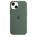 iPhone 13 mini Silicone Case with MagSafe - Eucalyptus_1