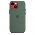 iPhone 13 mini Silicone Case with MagSafe - Eucalyptus_6