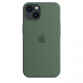 iPhone 13 Silicone Case with MagSafe – Eucalyptus_2