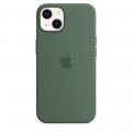 iPhone 13 Silicone Case with MagSafe – Eucalyptus_1