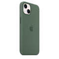 iPhone 13 Silicone Case with MagSafe – Eucalyptus_7
