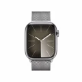 Apple Watch Series&nbsp;9 GPS + Cellular 41mm Silver Stainless Steel Case with Silver Milanese Loop_2