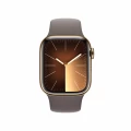 Apple Watch Series&nbsp;9 GPS + Cellular 41mm Gold Stainless Steel Case with Clay Sport Band - S/M_2