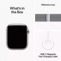 Apple Watch Series&nbsp;9 GPS + Cellular 45mm Silver Stainless Steel Case with Silver Milanese Loop_10