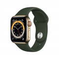 Apple Watch Series 6 GPS + Cellular, 40mm Gold Stainless Steel Case with Cyprus Green Sport Band_1