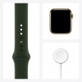 Apple Watch Series 6 GPS + Cellular, 40mm Gold Stainless Steel Case with Cyprus Green Sport Band_7