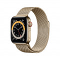 Apple Watch Series 6 GPS + Cellular, 40mm Gold Stainless Steel Case with Gold Milanese Loop_1