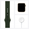 Apple Watch Series 6 GPS + Cellular, 44mm Gold Stainless Steel Case with Cyprus Green Sport Band_7