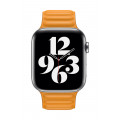 44mm / 42mm California Poppy Leather Link - Large_3